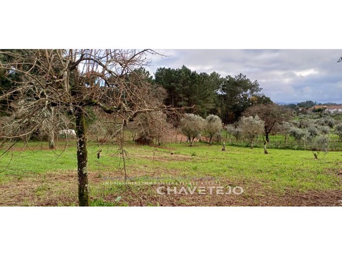 Image No.28-Maison de 4 chambres à vendre à Sertã