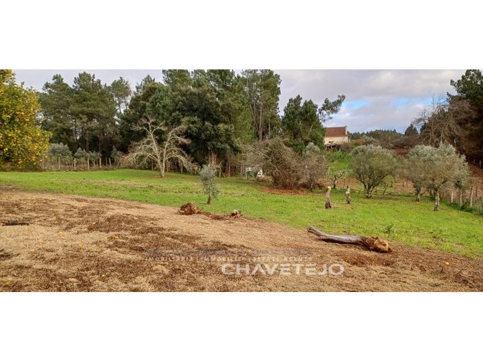 Image No.32-Maison de 4 chambres à vendre à Sertã