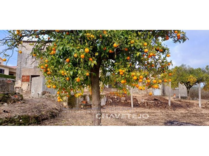 Image No.33-Maison de 4 chambres à vendre à Sertã