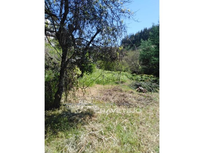 Image No.26-Maison de 2 chambres à vendre à Figueiró dos Vinhos