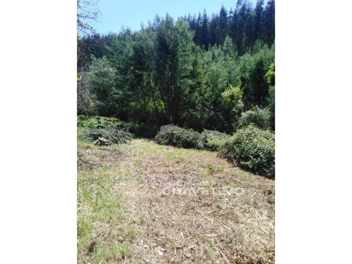 Image No.27-Maison de 2 chambres à vendre à Figueiró dos Vinhos