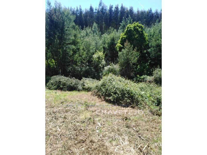 Image No.30-Maison de 2 chambres à vendre à Figueiró dos Vinhos