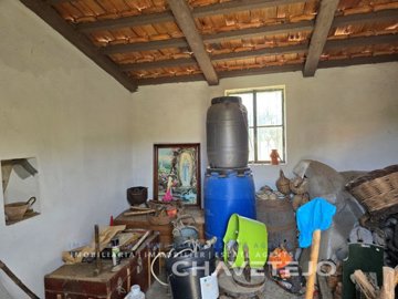 id12169f01-0000-0500-0000-000015e4054f