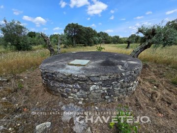 id12169f01-0000-0500-0000-000015e40553