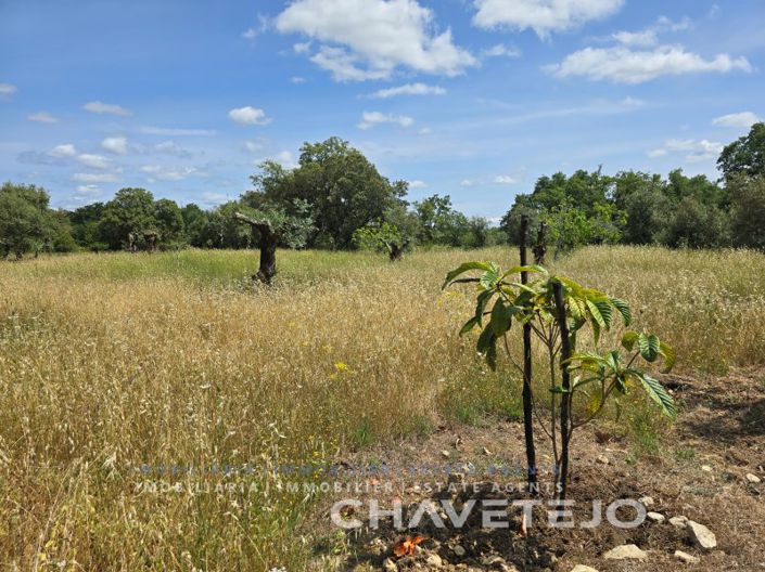 Image No.17-2 Bed House for sale