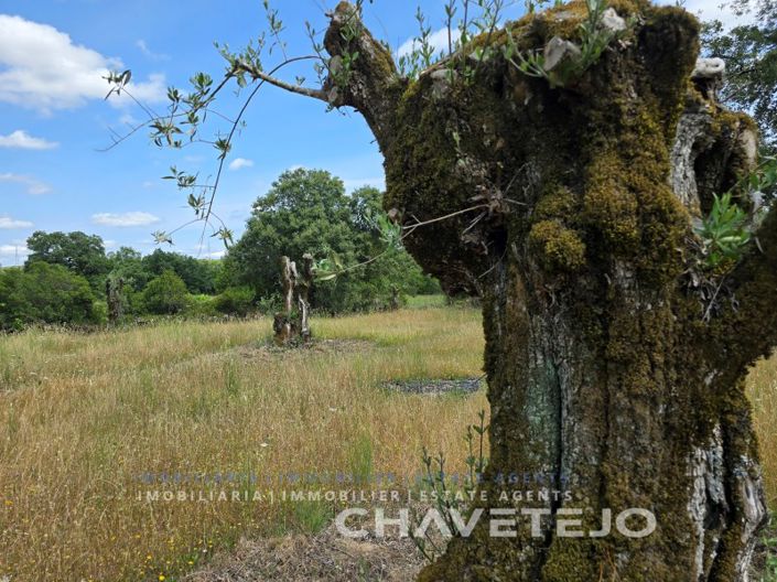 Image No.18-2 Bed House for sale