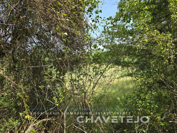 Image No.21-2 Bed House for sale