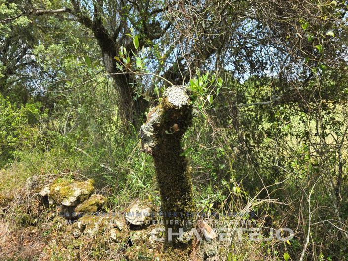 Image No.22-2 Bed House for sale