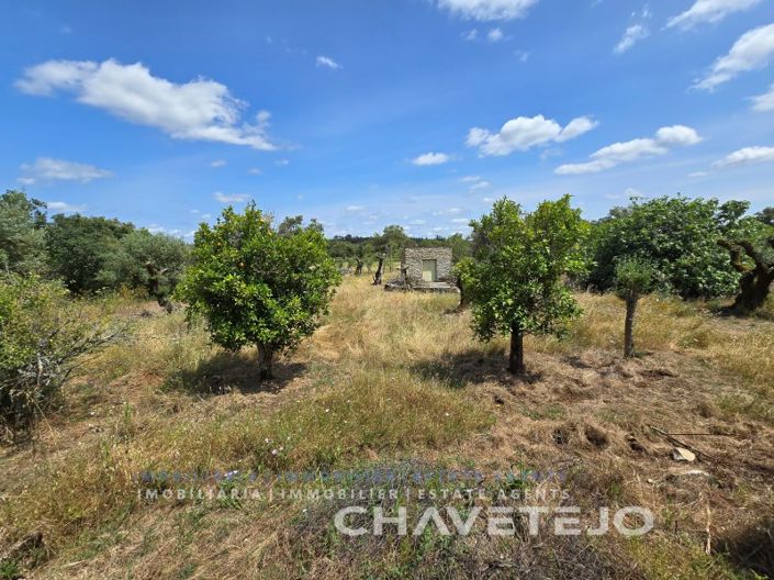 Image No.33-2 Bed House for sale