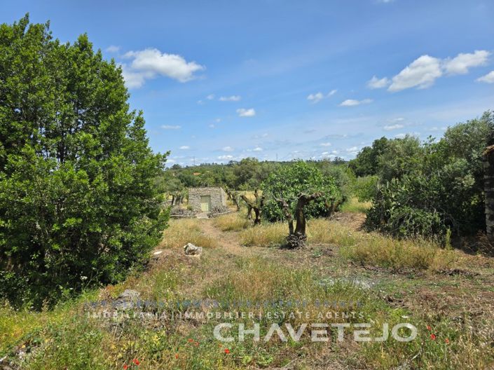 Image No.34-2 Bed House for sale