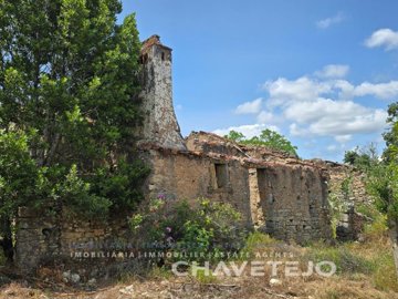 id12169f01-0000-0500-0000-000015e40549