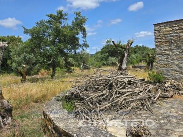 id12169f01-0000-0500-0000-000015e4054b