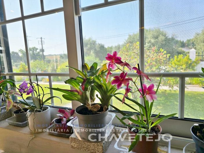 Image No.18-Maison de 3 chambres à vendre à Tomar