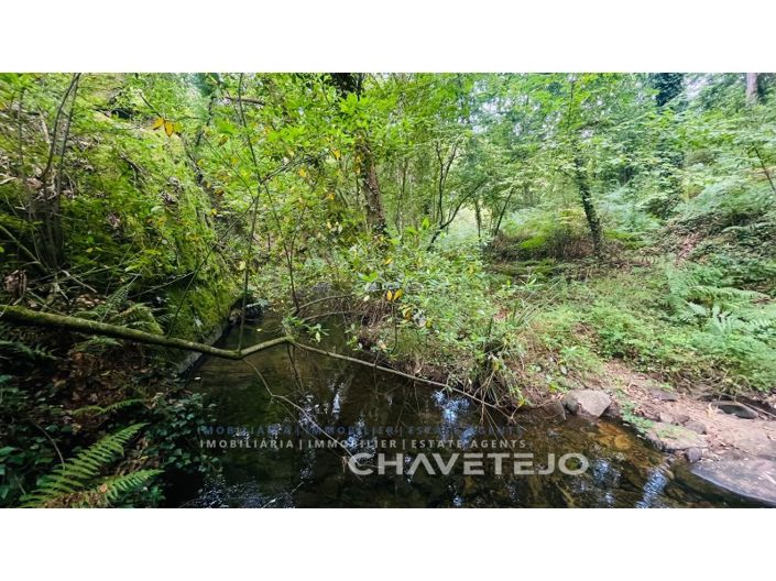 Image No.10-Ferme à vendre à Figueiró dos Vinhos