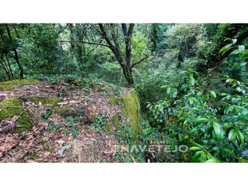 id37f2a101-0000-0500-0000-00001613958c