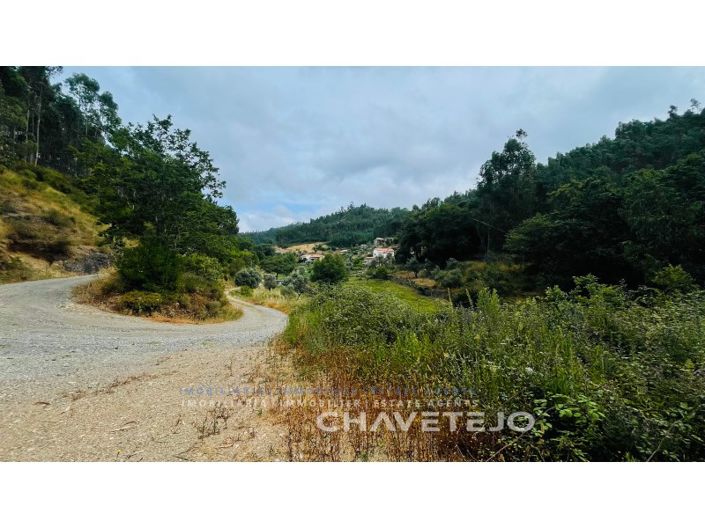 Image No.14-Ferme à vendre à Figueiró dos Vinhos