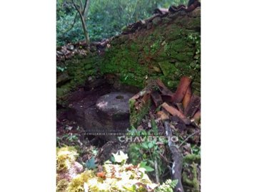 id37f2a101-0000-0500-0000-00001613958f