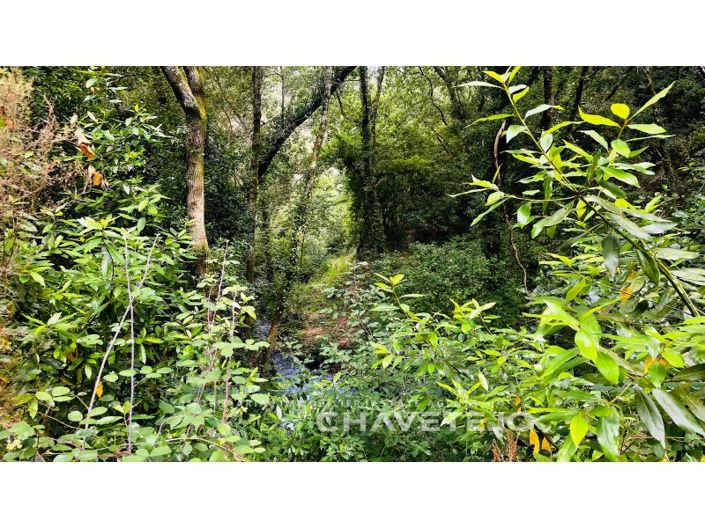 Image No.16-Ferme à vendre à Figueiró dos Vinhos