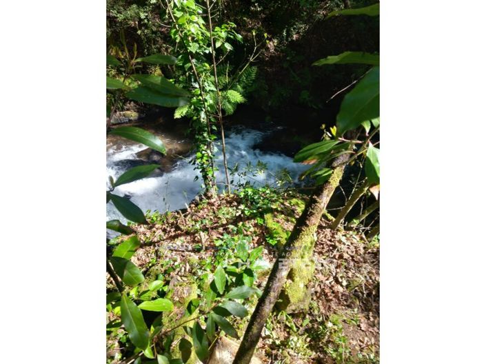 Image No.19-Ferme à vendre à Figueiró dos Vinhos