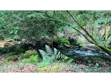 id37f2a101-0000-0500-0000-000016139581