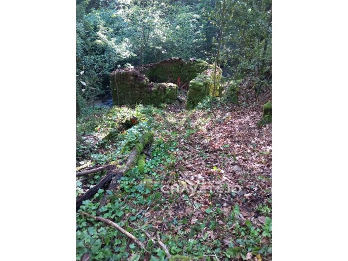 Image No.20-Ferme à vendre à Figueiró dos Vinhos