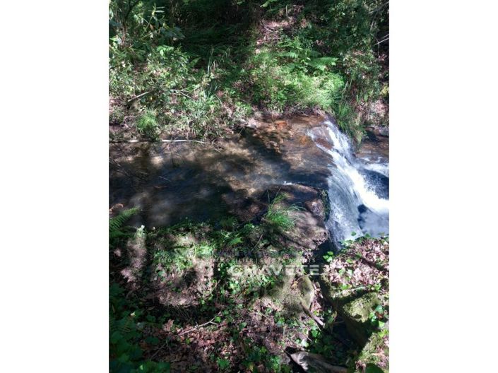 Image No.23-Ferme à vendre à Figueiró dos Vinhos