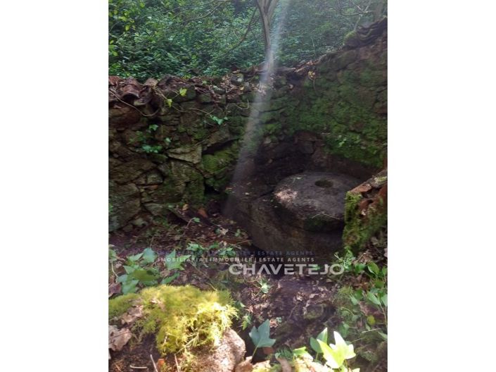 Image No.24-Ferme à vendre à Figueiró dos Vinhos