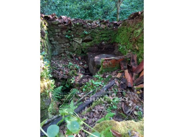 Image No.25-Ferme à vendre à Figueiró dos Vinhos