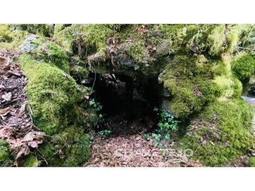 id37f2a101-0000-0500-0000-000016139583