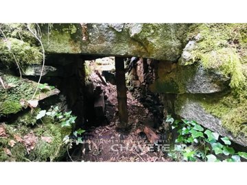 id37f2a101-0000-0500-0000-000016139584