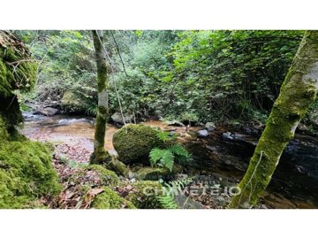 id37f2a101-0000-0500-0000-000016139585