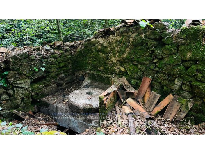 Image No.7-Ferme à vendre à Figueiró dos Vinhos