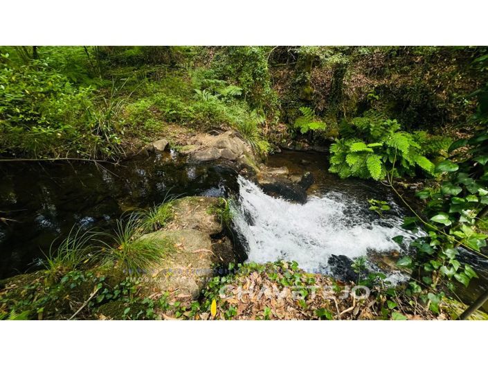 Image No.8-Ferme à vendre à Figueiró dos Vinhos