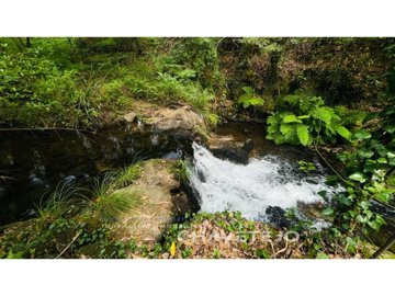 id37f2a101-0000-0500-0000-000016139587