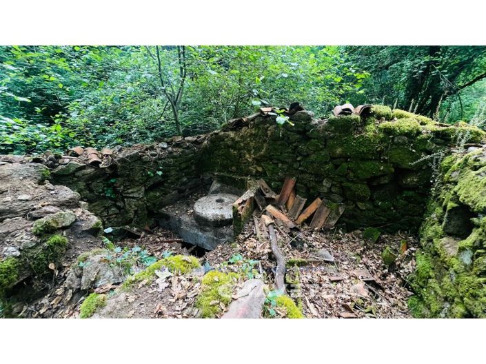 Image No.9-Ferme à vendre à Figueiró dos Vinhos