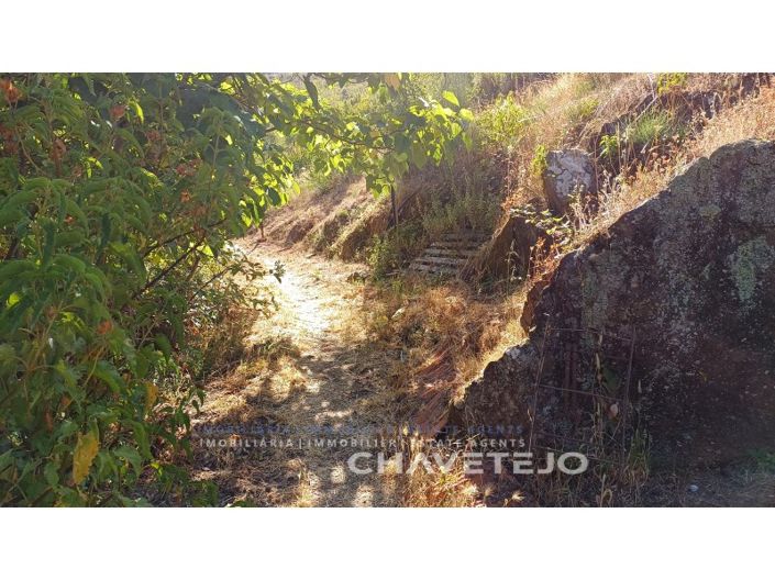 Image No.58-5 Bed Farmhouse for sale