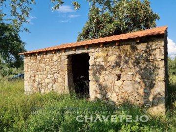 id54c5a301-0000-0500-0000-00001643b541