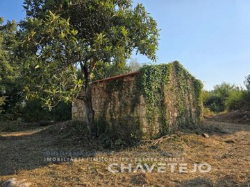 id54c5a301-0000-0500-0000-0000167bfff3