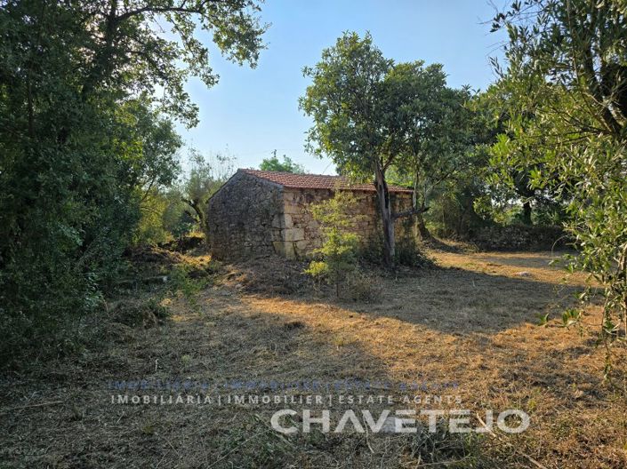 Image No.11-Plot for sale