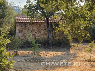 id54c5a301-0000-0500-0000-0000167bfff7