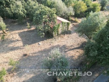 id54c5a301-0000-0500-0000-0000167bfff8