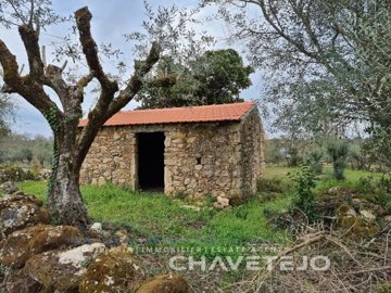 id54c5a301-0000-0500-0000-00001643b546