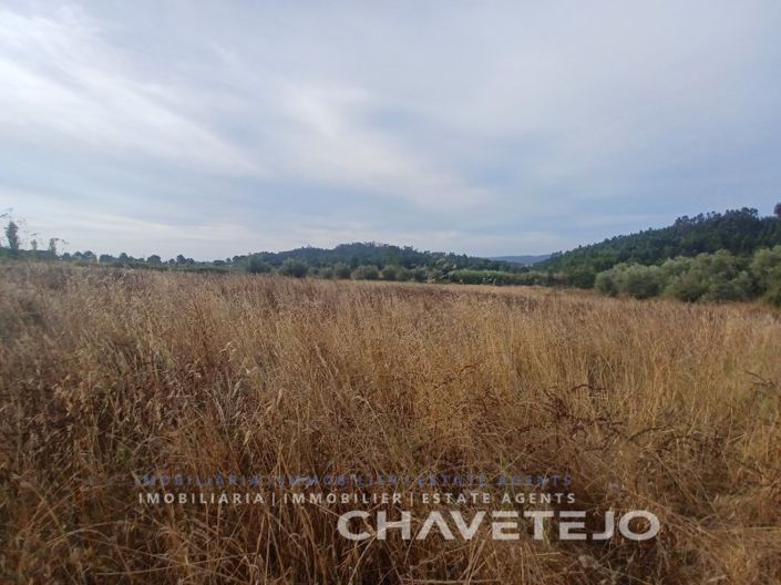 Image No.10-Ferme à vendre à Tomar