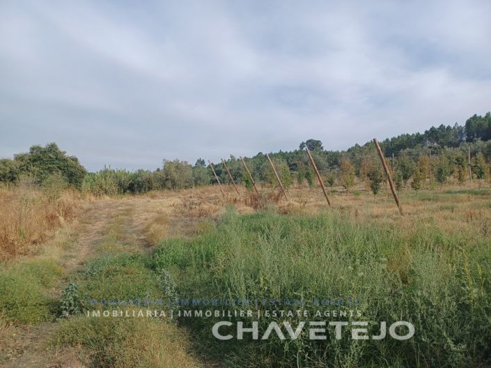 Image No.11-Ferme à vendre à Tomar