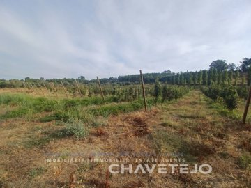 ida5cba601-0000-0500-0000-000016902301