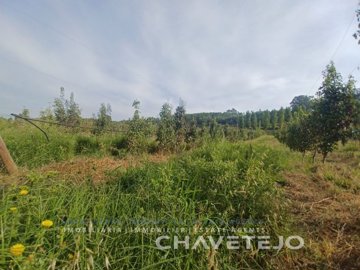 ida5cba601-0000-0500-0000-000016902302