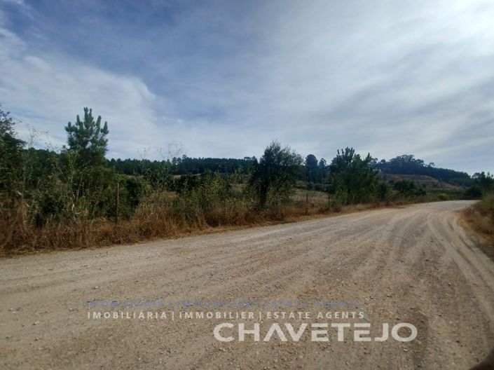 Image No.16-Ferme à vendre à Tomar