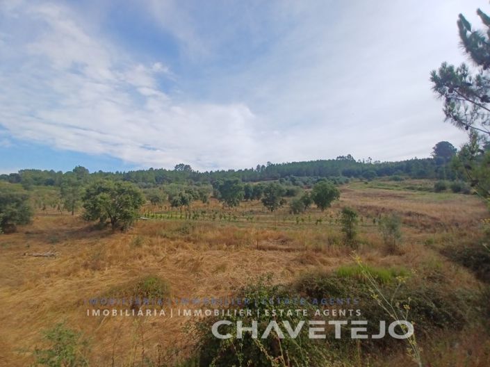 Image No.17-Ferme à vendre à Tomar