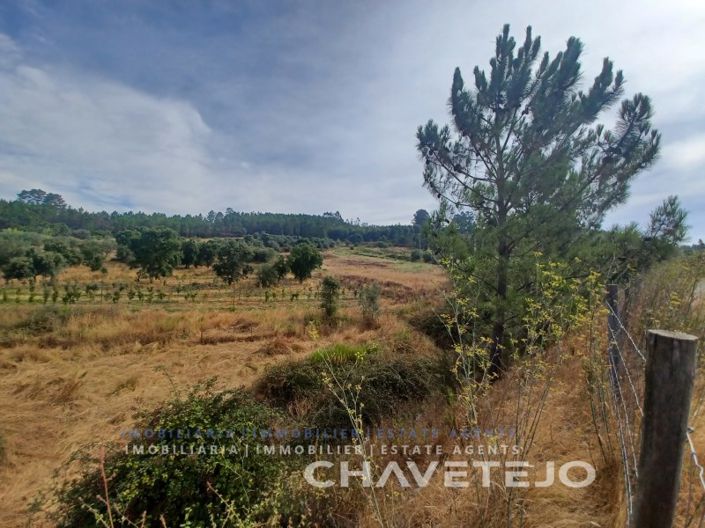 Image No.18-Ferme à vendre à Tomar