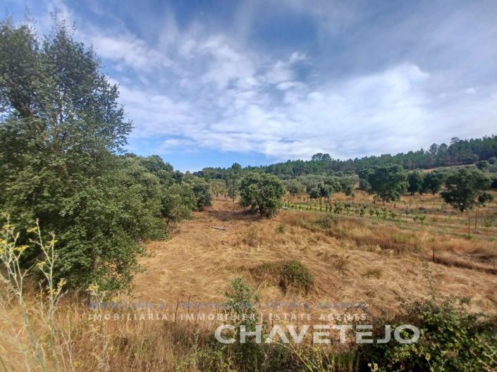 Image No.20-Ferme à vendre à Tomar